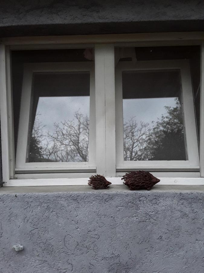 Valverde  L'Albero Di Alberto Bed & Breakfast エクステリア 写真